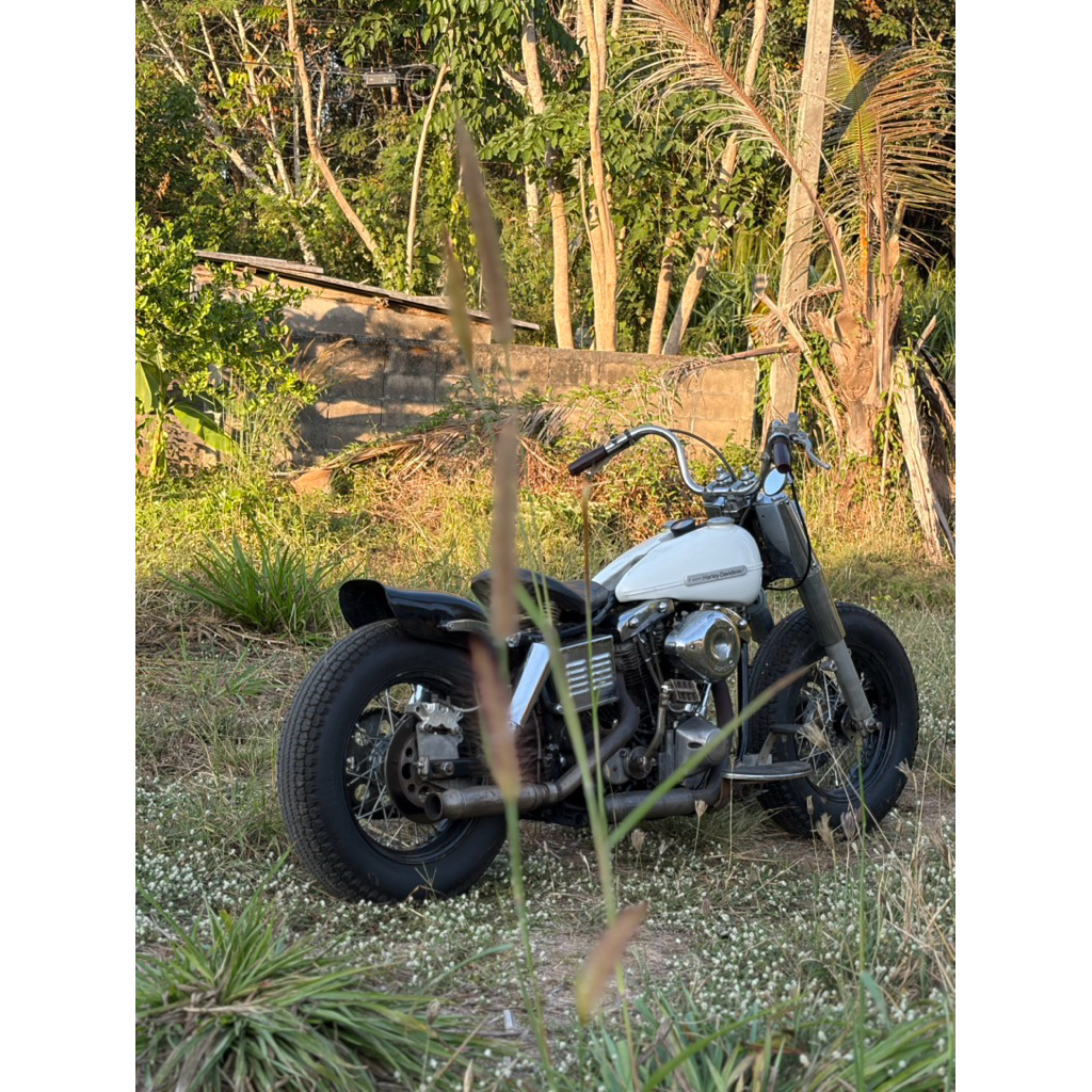 Shovelhead 1971 1200cc.