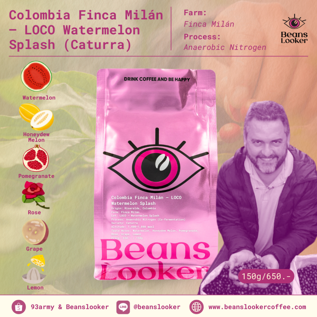 Colombia Finca Milán – LOCO Watermelon Splash Anaerobic Nitrogen | Caturra