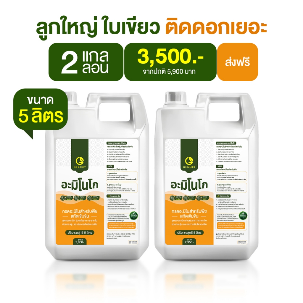 (2แกลลอน) อะมิโนโก ขนาด 5 ลิตร - AMINO GO กรดอะมิโนสำคัญต่อพืช 19 ชนิด ปุ๋ยน้ำ ปุ๋ยกุหลาบ เร่งราก