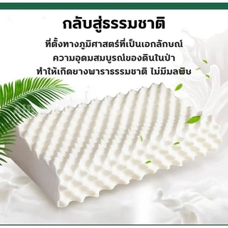 HT หมอน หมอนยางพาราธรรมชาติ 100% ลดกรน กันไรฝุ่น ไม่ปวดคอ หมอนเพื่อสุขภาพ รูปทรงโค้งมน ช่วยให้หลับสบาย