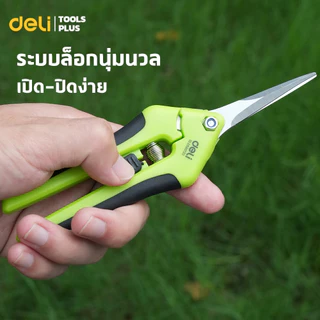 Deli กรรไกรตัดกิ่ง กรรไกรตัดแต่งกิ่ง มีล็อค ปลอดภัย ใบมีดคม 6.5 นิ้ว ด้ามยางกันลื่น Pruning Shears