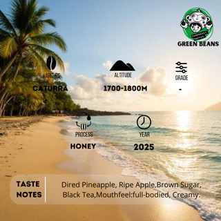 สารเมล็ดกาแฟ Costa Rica El Pilion Micromill Black Honey ขนาด 1000g