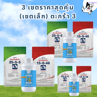 เซตเร่งน้ำยาง บำรุงหน้ายาง ช่วยฟื้นต้น สร้างเปลือกใหม่ได้เร็ว เปลือกนิ่ม กรีดง่าย เพิ่มปริมาณน้ำยาง
