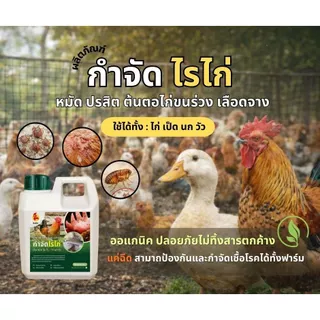 สิบทิศ น้ำยากำจัดไรไก่ ลดอาการคัด เห็บ หมัด ไล่ยุง ไล่แมลง ป้องกันขนร่วง ออแกนิค ปลอดภัยต่อสัตว์และคน กำจัดเห็บหมัด