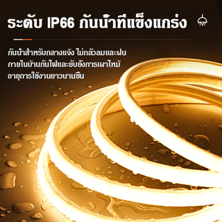 ไฟแถบนีออน LED ตัดได้ไฟนีออนแคบแบบยืดหยุ่น ยาว 5-30 เมตร พร้อมปลั๊ก ดัดงอได้ สีสวยกันน้ำแรงดัน 220V