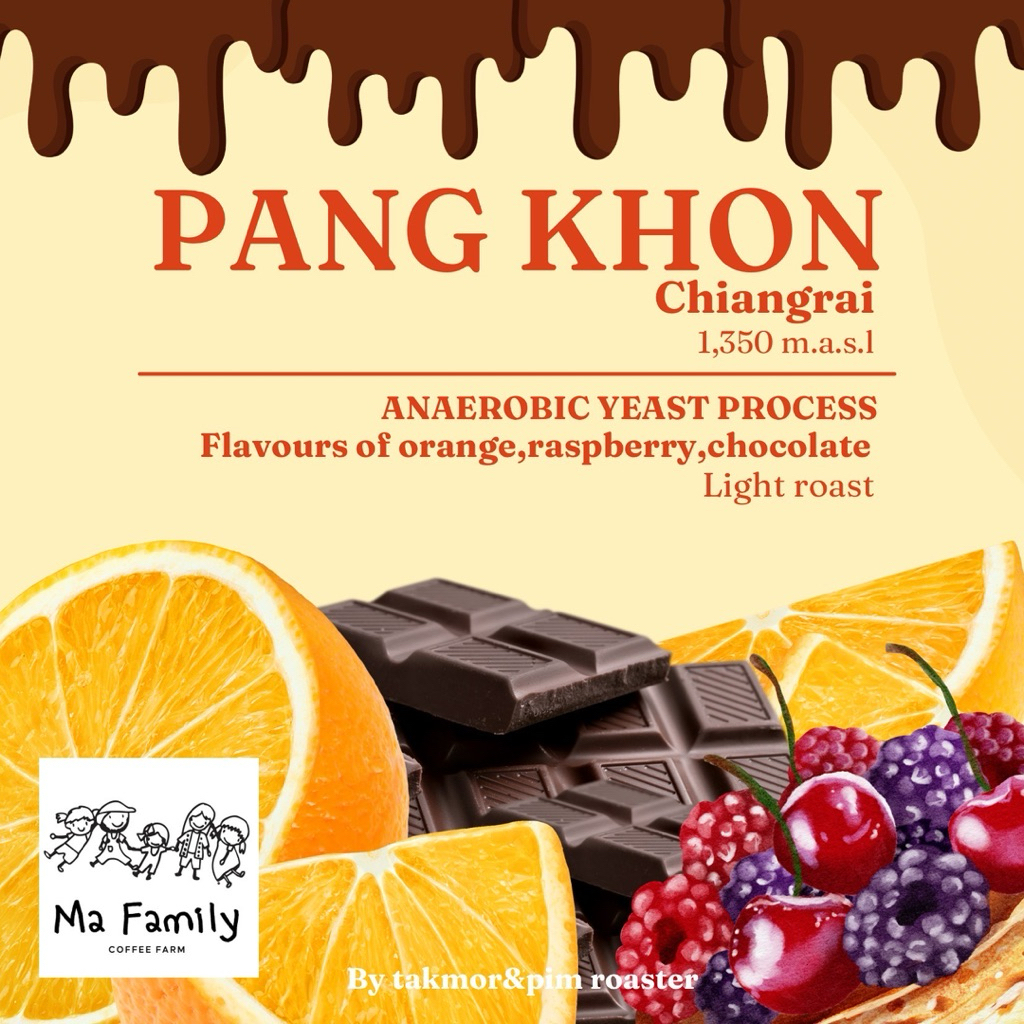 เมล็ดกาแฟคั่วอ่อน ปางขอน เชียงราย Anaerobic yeast process