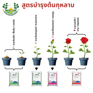 ฟูจิเทค 12-12-17+TE (แบ่งบรรจุ)| โซตัส | ปุ๋ยซัลเฟตแท้100%เต็ม ปุ๋ยทางดิน ขนาดบรรจุ 1Kg.
