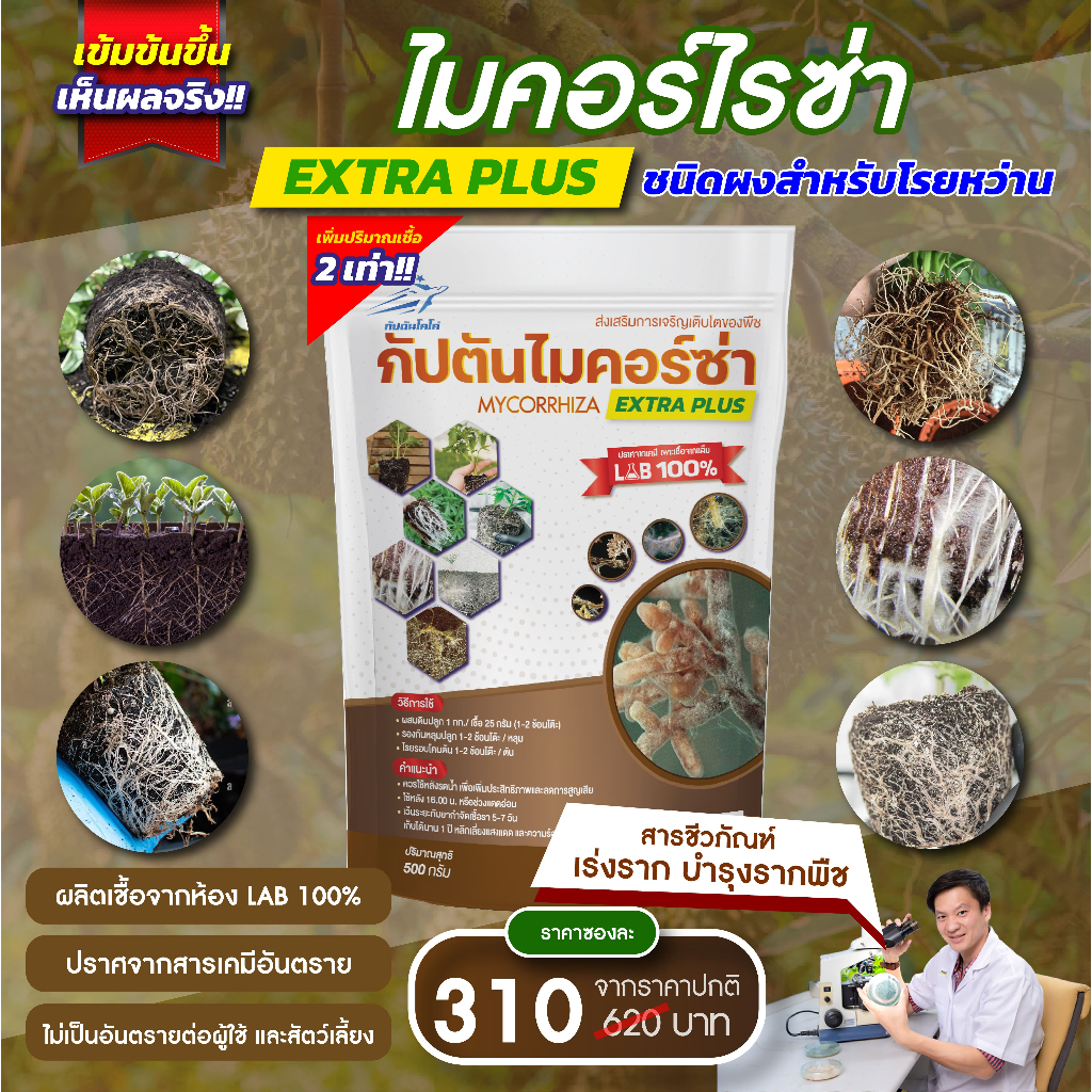 ไมคอร์ไรซ่า กัปตัน สูตรเข้มข้น เร่งราก เพิ่มผลผลิต พืชแข็งแรงยั่งยืน