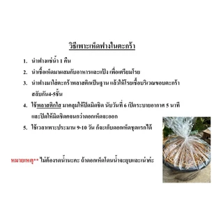 ชุดเพาะเห็ดฟาง เชื้อ4ก้อน+อาหาร4ถุง+แป้ง4ถุง+คู่มือ