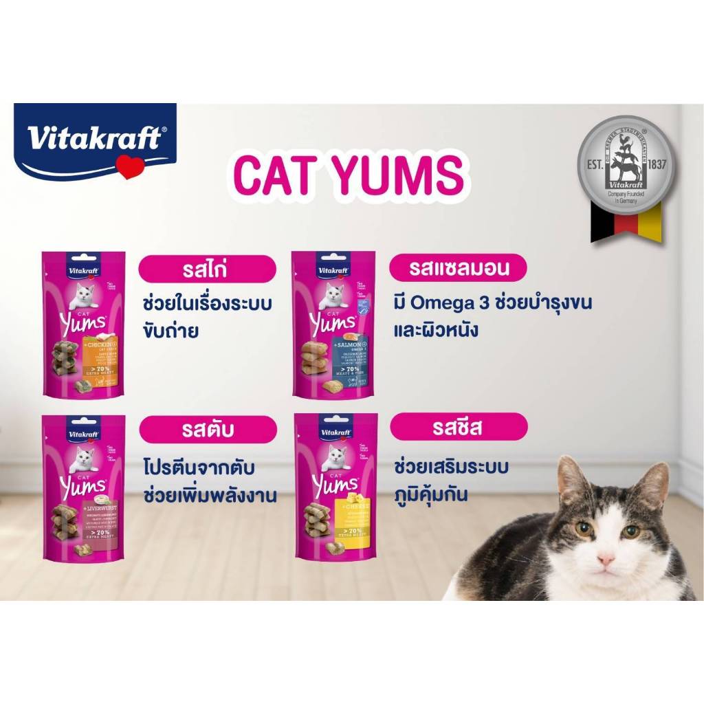 Vitakraft - ไวต้าคราฟ ขนมแมวแบบสอดไส้และแบบกรุบกรอบ จากเยอรมัน - รูปที่ 3