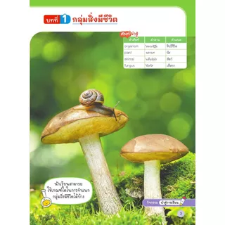 วิทยาศาสตร์ ป.4 เล่ม 1 (อจท) รายวิชาพื้นฐาน ปกใหม่ล่าสุด