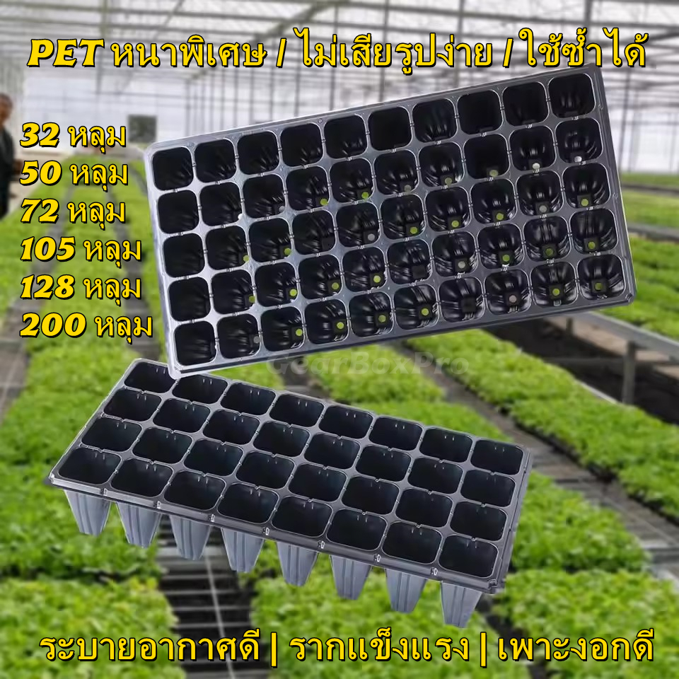 ถาดเพาะกล้า PET หนา 1.0 มม. 32/50/72/105/128/200 หลุม ใช้ซ้ำได้ ระบายอากาศดี ไม่เสียรูป เพาะเมล็ด เพาะต้นอ่อน ไฮโดรโปนิก