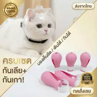 อุปกรณ์สัตว์เลี้ยง หมวกครอบหัวแมว ป้องกันการเลียแผล ป้องกันข่วนหน้า พร้อมส่งในไทย ล้างสต็อกราคาพิเศษ