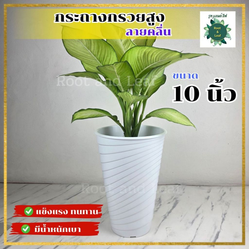 กระถางทรงกรวยสูง ลายคลื่น ขนาด 10 นิ้ว ลวดลายสวยงาม เหมาะสำหรับวางตกแต่งบ้านและคอนโด พลาสติกคุณภาพดี ทนทาน แข็งแรง