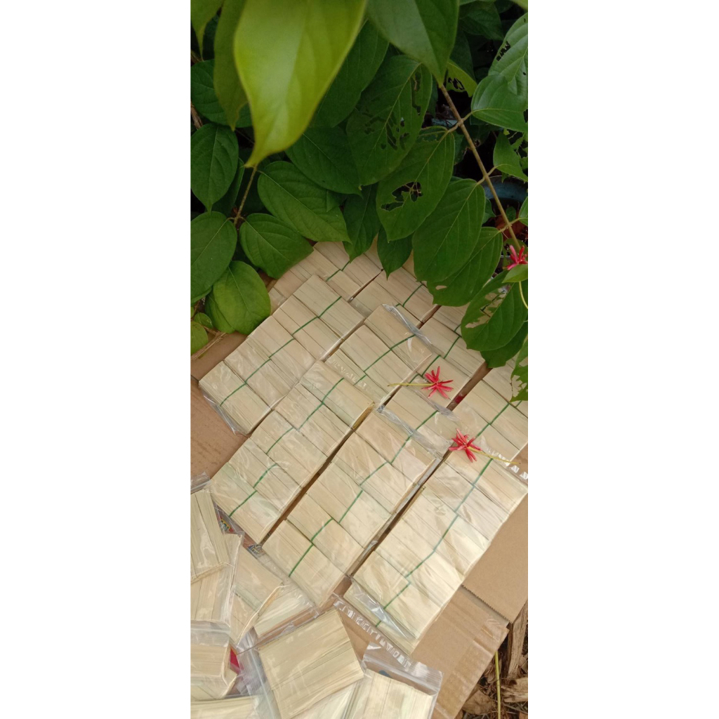 ท่อนจาก ใบใหญ่ ตากแดด ไม่มีสาร จากระนอง ตกแต่ง ธรรมชาติ ต้นไม้พันธ์ไม้
