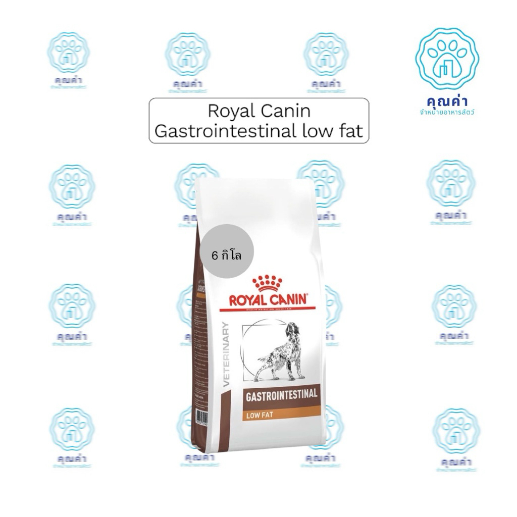 Royal Canin (GASTROINTESTINAL LOW FAT DOG)(6kg)อาหารเม็ดสุนัขประกอบการรักษาโรคทางเดินอาหาร