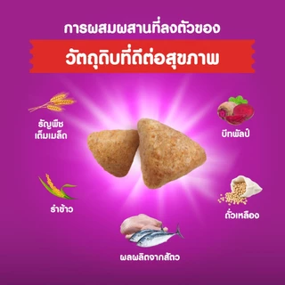 WHISKAS วิสกัส อาหารเม็ดแมวสูตรบำรุงผิวหนังและเส้นขน สำหรับแมวโต 1.1 กก.