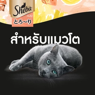 SHEBA เมลตี้ ขนมแมวเลีย 48 ก.
