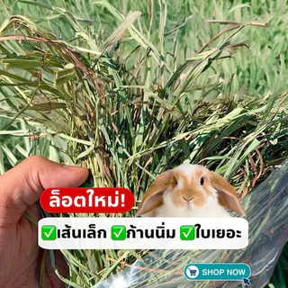 หญ้าหวาน หญ้าออชาร์ด 1kg