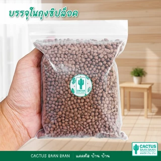 หินโรยกระถาง หินโรยหน้า แคคตัส หินเกร็ด กรวดแม่น้ำ หินแคคตัส หินกระบองเพชร (พร้อมส่ง)