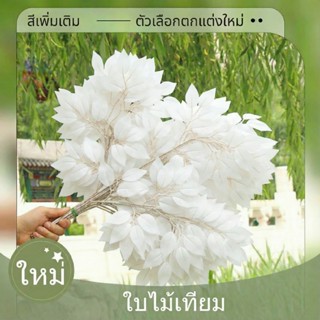 ใบไทรขาวประดิษฐ์ 12 ชิ้น ใบไม้ตกแต่งสีขาว ผ้าเกรดพรีเมียม ก้…