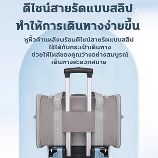 😺กระเป๋าแมวพ🐈ับเก็บได้ กระเป๋าใส่แมว กรงแมวพกพา กระเป๋าแมวขนาดใหญ่ กระเป๋าใส่สัตว์เลี้ยง สำหรับเดินทางสัตว์ กระเป๋าใส่สั