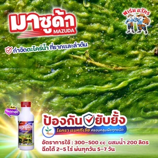 มาซูด้า กำจัดโรคที่เกิดจากเชื้อรา ไฟทอปธอร่า กำจัด ตะไคร่น้ำ ไล่ นก หนู กระรอก ใช้ได้กับพืชทุกชนิด
