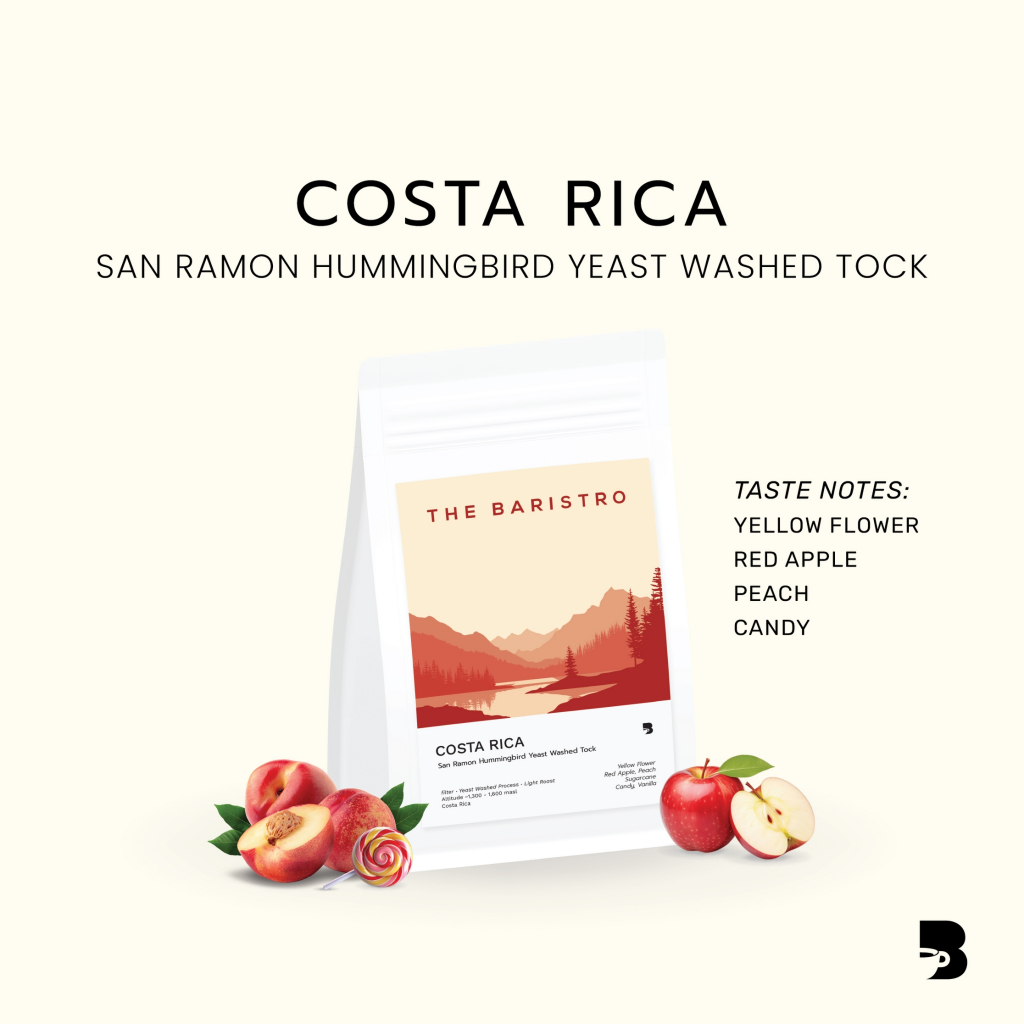 เมล็ดกาแฟ คั่วอ่อน - Costa Rica San Ramon Hummingbird