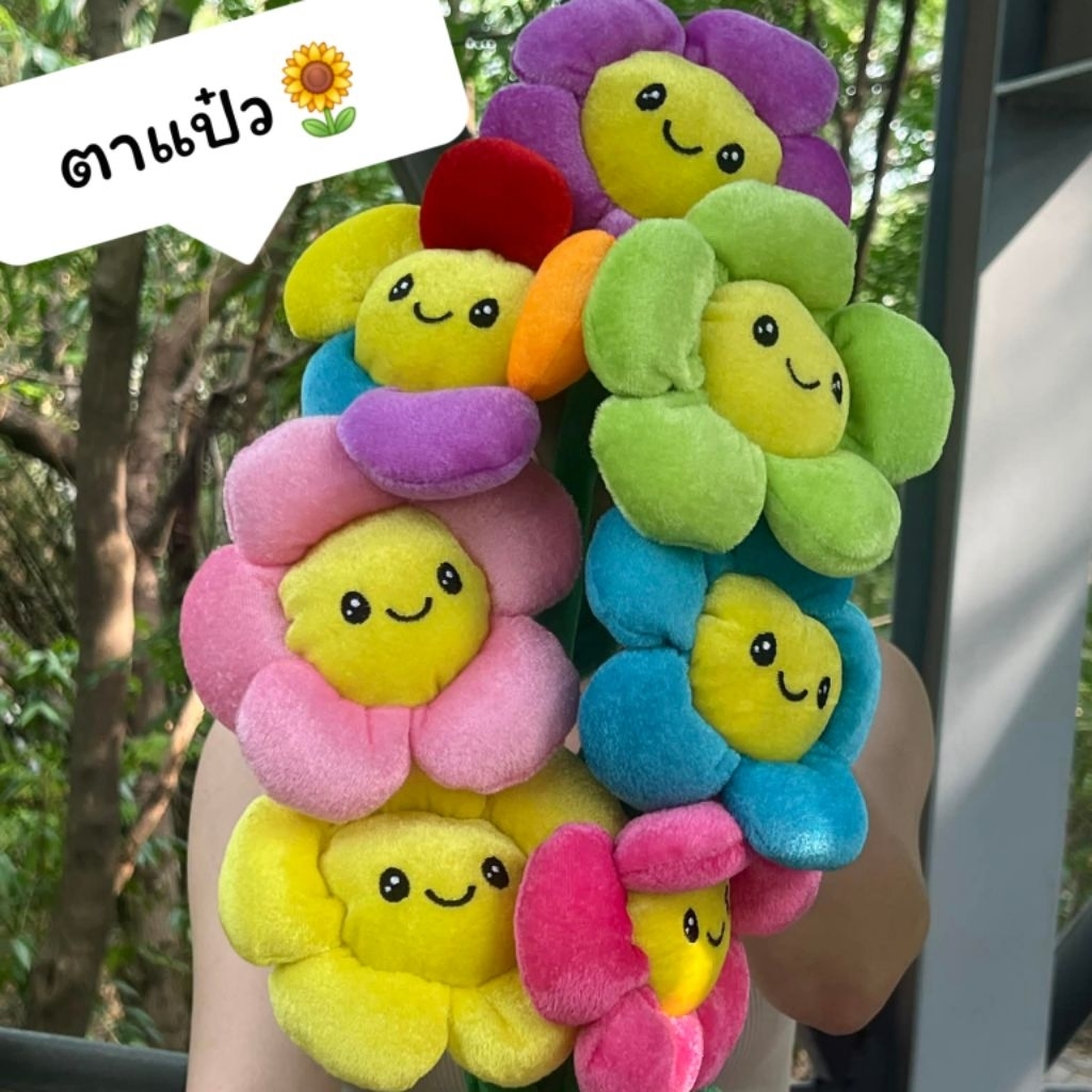 ส่งไวมาก ดอกไม้หน้ายิ้ม รุ่นตาแป๋ว ดอกไม้ปัจฉิม ดอกไม้รับปริญญา