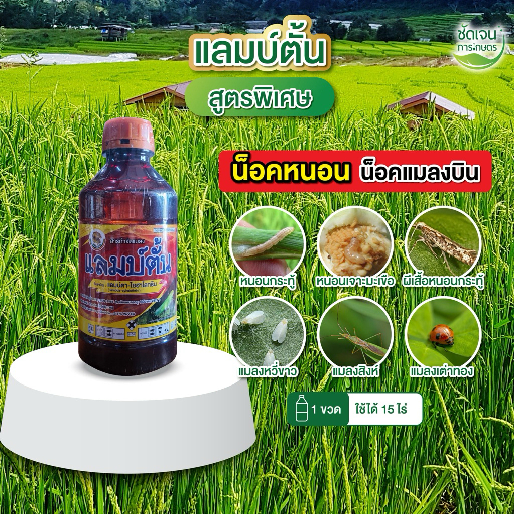 แลมบ์ตั้น แลมป์ดาไซฮาโลทริน สูตรเย็น แมลงทุกชนิดในนาข้าว 1 ขวด15 ไร่