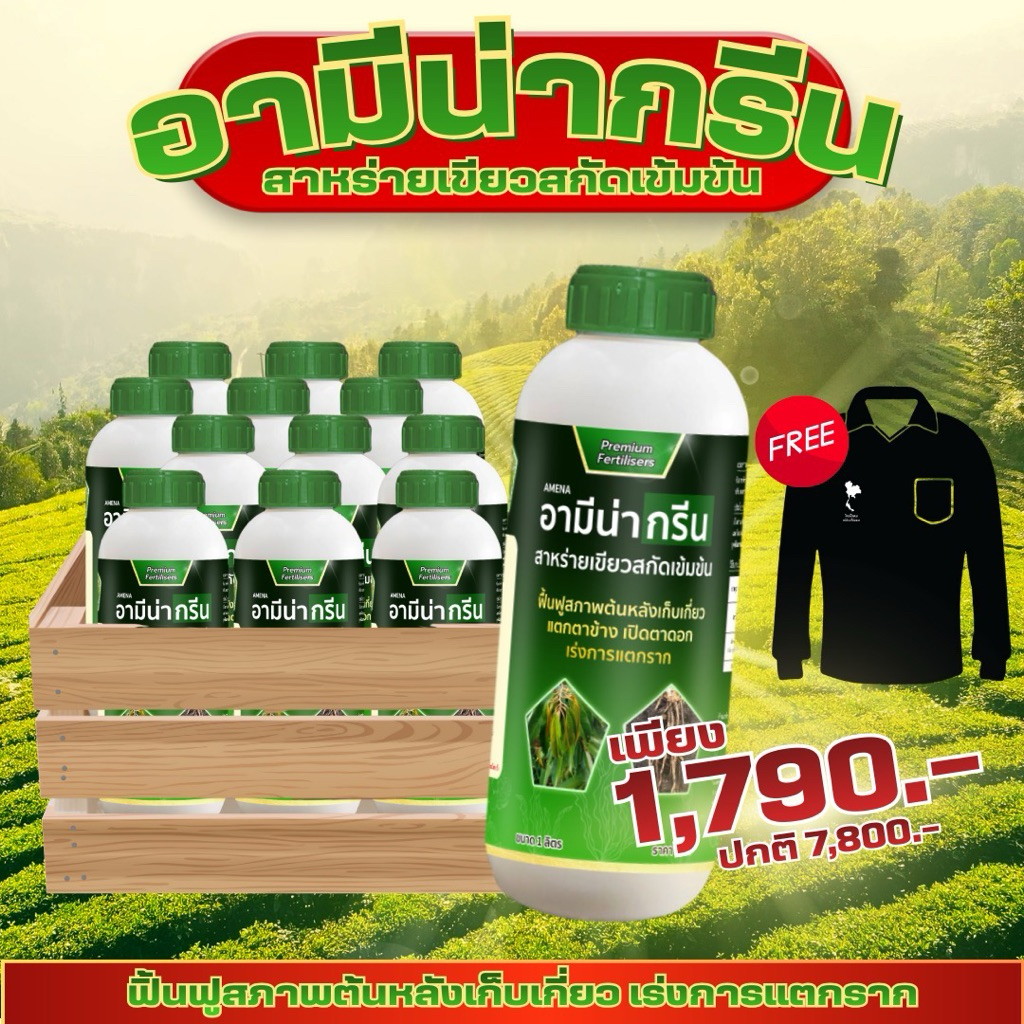 สาหร่ายเขียว( อามีน่ากรีน12ขวดแถมเสื้อ) แตกยอด แตกใบ ลดอาการชะงักการเจริญเติบโตช่วยให้รากเดิน 1ลิตร