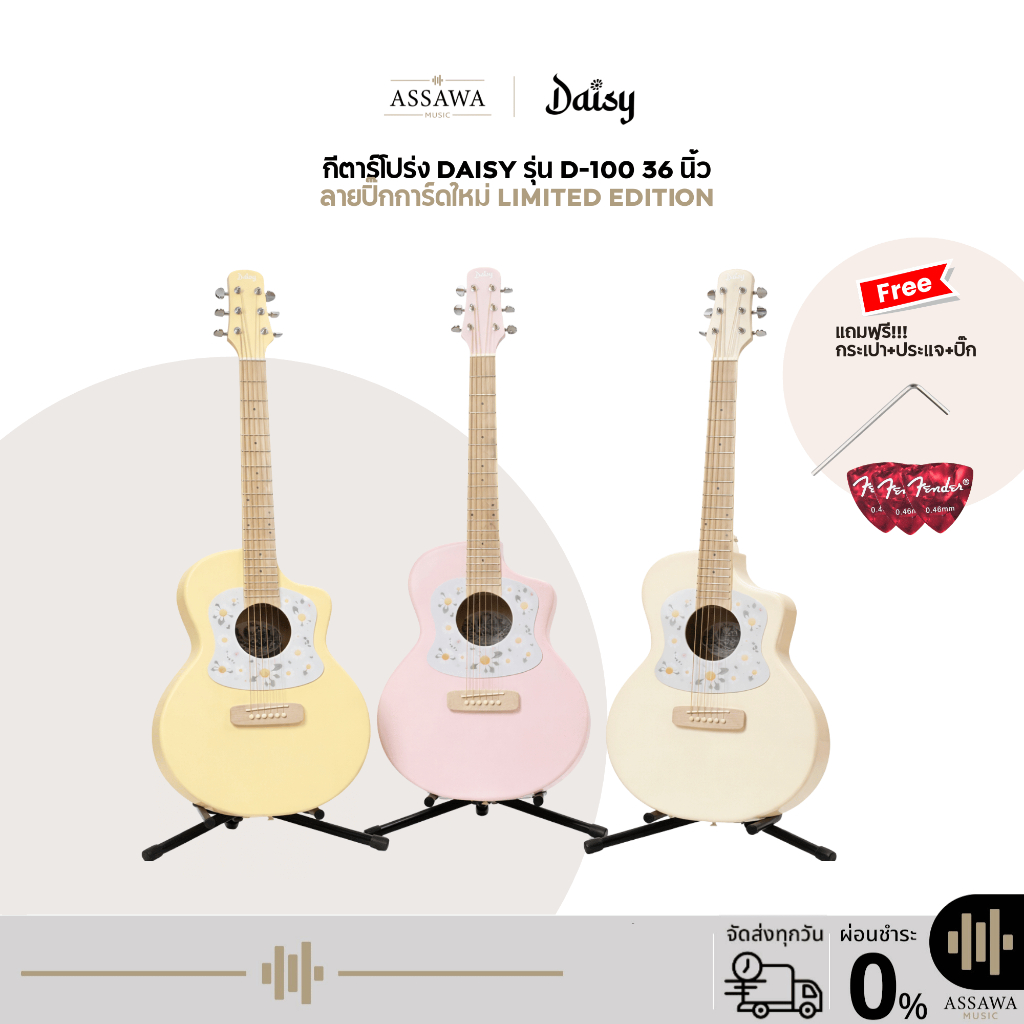 กีตาร์โปร่ง Daisy D-100 Acoustic Guitar 36 นิ้ว Limited Edition ดีไซน์น่ารัก กีต้าร์โปร่ง Daisy