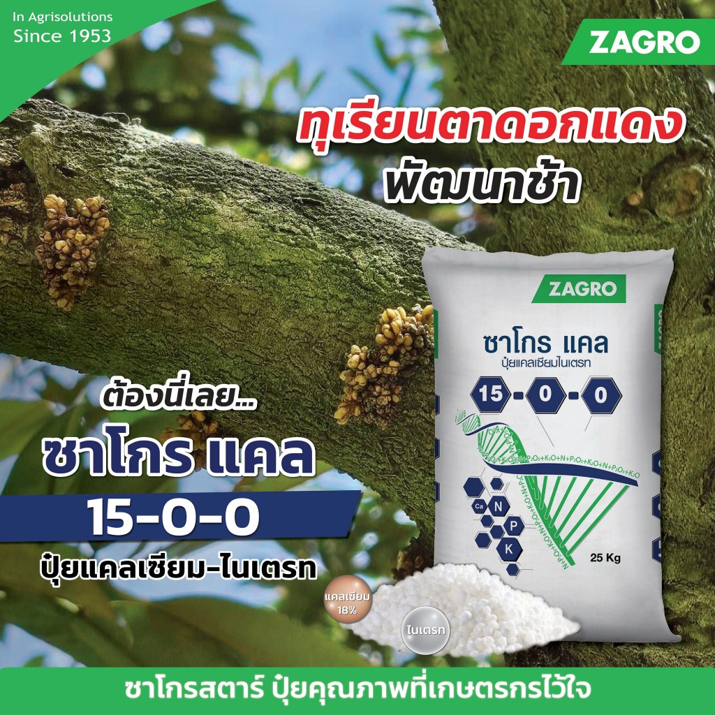 ปุ๋ย 15-0-0 ซาโกร ขนาด 25 กิโลกรัม(ยกกระสอบ) แคลเซียมไนเตรท