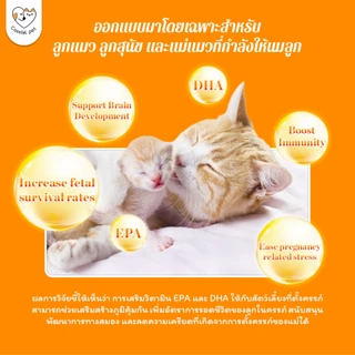 Cassiel Pet น้ำมันปลาแซลมอนซึ่งมีวิตามินโอเมก้า 3 เหมาะสำหรับการดูแลผิว ขน และระบบภูมิคุ้มกันในสุนัขและแมว