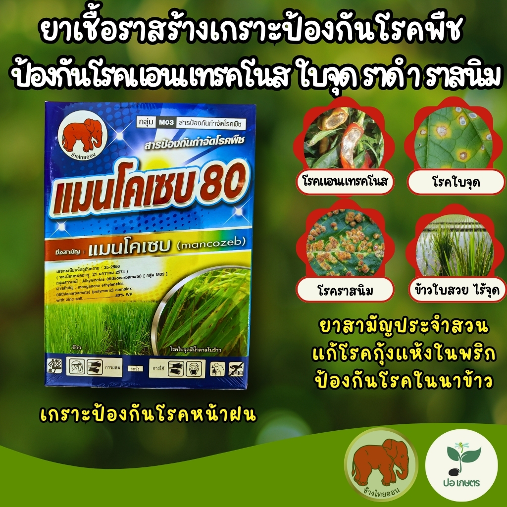 แมนโคเซบ 80%  ป้องกันกำจัด เชื้อรา ราสนิม ราแป้ง ราหลุม ราดำ โรคใบจุด โรคแอนเทคโนส โรคแคงเกอร์ (1 กิโลกรัม)