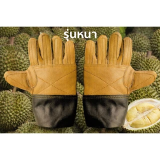 💥ส่งฟรี‼️💥ถุงมือหนังใช้ปอกและรับทุเรียน ✅คละสี 1 คู่ (ขนาดฟรีไซส์)