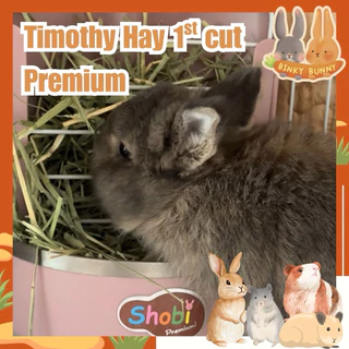 Binky Bunny House หญ้าทิโมธี (Timothy Hay) 1st cut พรีเมียม นำเข้า USA สำหรับสัตว์ฟันแทะ 1 กิโลกรัม