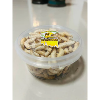 หนอนแว๊กซ์ฟรีซดราย 40กรัม สำหรับชูการ์ เม่นแคระ ลิง กระรอก แฮมสเตอร์ บุชเบบี้