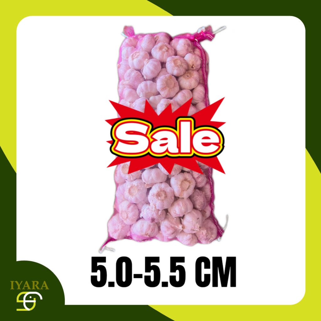 กระเทียมหัวใหญ่ ยกกระสอบ9.5-10KG ราคาพิเศษจำนวนจำกัด!!!