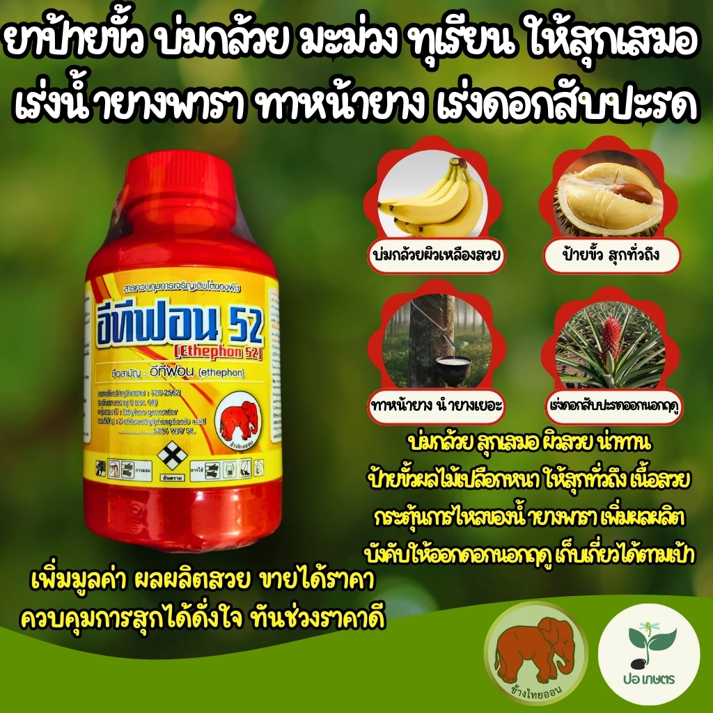 อีทีฟอน 52 (100 มล.) ยาป้ายขั้ว บ่มกล้วย มะม่วง ทุเรียน ให้สุกเสมอ ผิวสวย ยาเร่งน้ำยางพารา ทาหน้ายาง ยาเร่งดอกสับปะรด