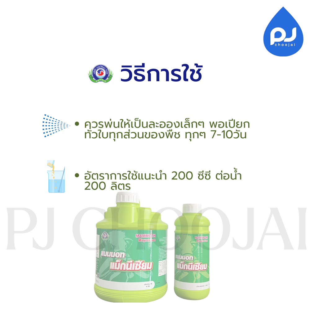 อาหารเสริมแมมมอท แม็กนีเซียม - รูปที่ 4