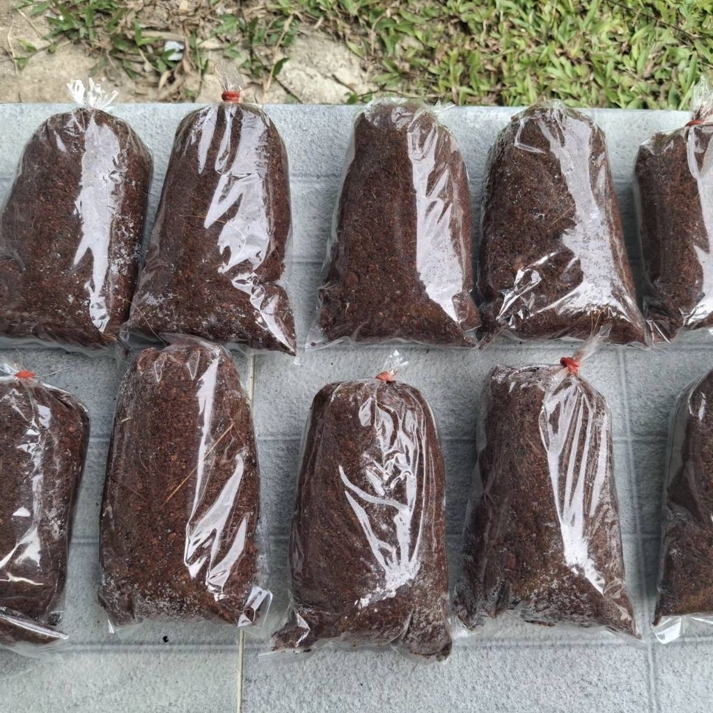 ตุ้มตอนกิ่งขนาด 4x7 นิ้ว รากออกไว 1 คำสั่งซื้อมี 10 ตุ้มตอน