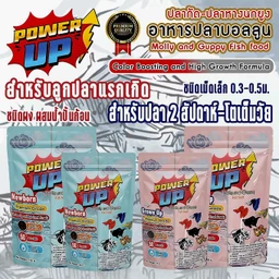 อาหารปลาและสัตว์น้ำ เม็ดไม่ทำน้ำขุ่น เร่งสีสด ปี 2026