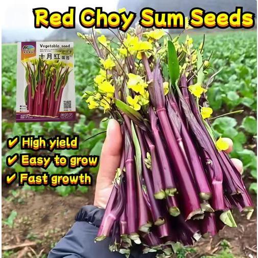 High yield red cabbage seeds, vegetable seeds for sale, red cabbage seeds, vegetable seeds for plant