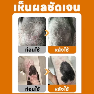 🐶แนะนำโดยสัตวแพทย🐱สเปรย์ผิวหนังสัตว์เลี้ยง ขี้เรื้อน เชื้อราแมว เกลื้อน 510ml สูตรธรรมชาติ ปลอดภัย