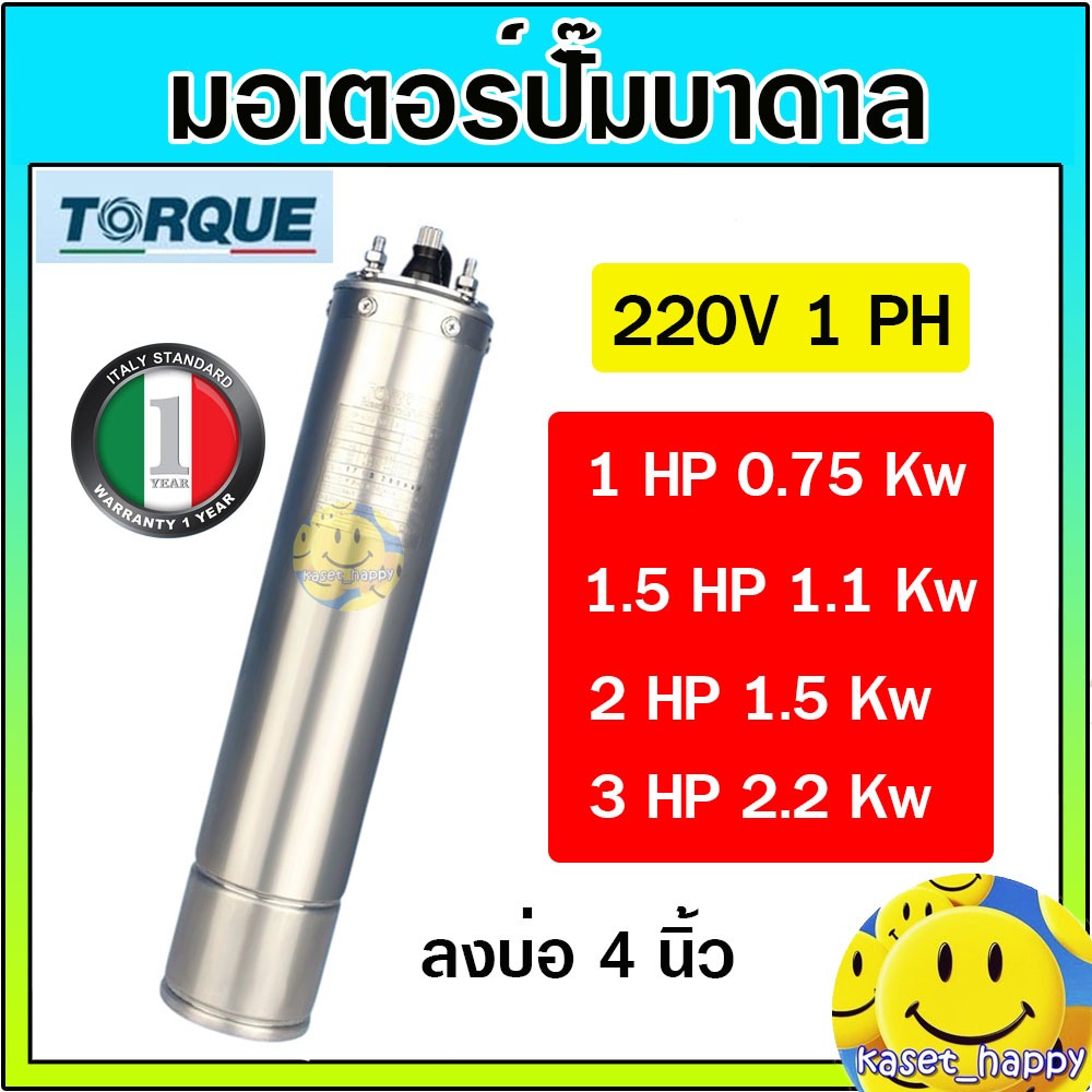 Torque มอเตอร์ ปั๊มน้ำบาดาล ซัมเมอร์ส 1, 1.5 , 2 , 3 แรง ขนาด 4 นิ้ว 1 เฟส 220 โวลต์ (รับประกัน1ปี)