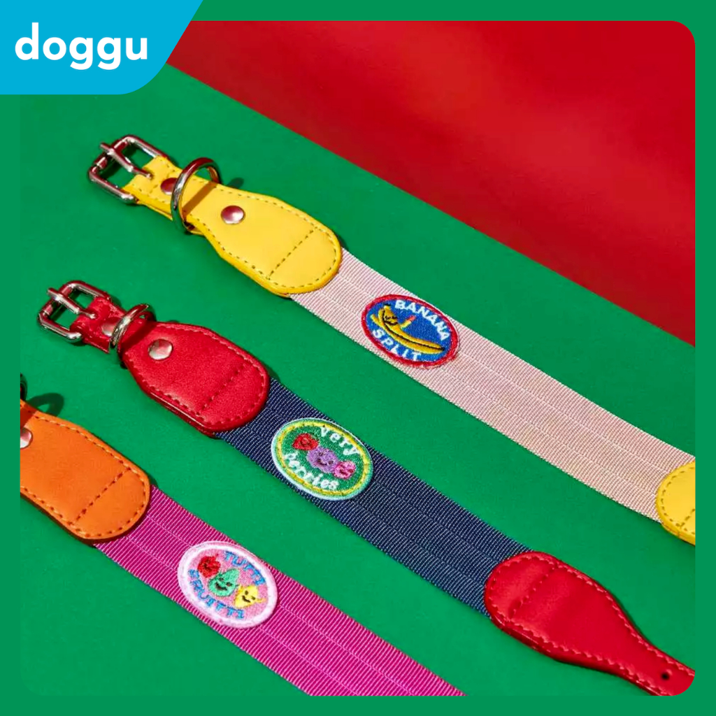 [พร้อมส่ง] DOGGU Froyo Collar ปลอกคอสัตว์เลี้ยง