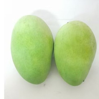มะม่วงเปรี้ยว 1 กก. เก็บใหม่ทุกออร์เดอร์