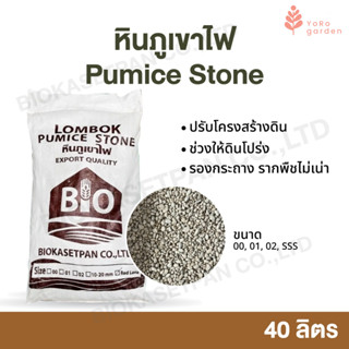 หินภูเขาไฟPumice Stone