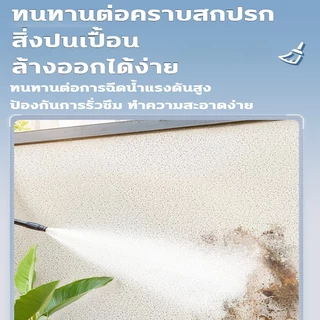 สีทาหินอ่อน สีทาผนัง ลวดลายเลียนแบบหินอ่อน พื้นผิวสมจริง กันน้ำ กันเปื้อน กันแดด ทาสีผนัง ทนต่อรอยขีดข่วนและการสึกหรอ